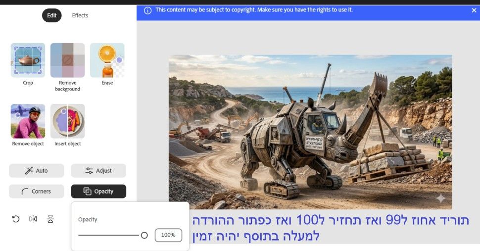 צילום מסך 2026-05-21 144009.jpg