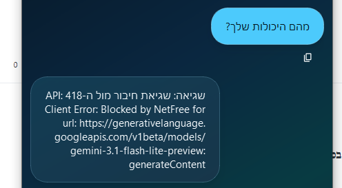 שגיאה פשוטה.png