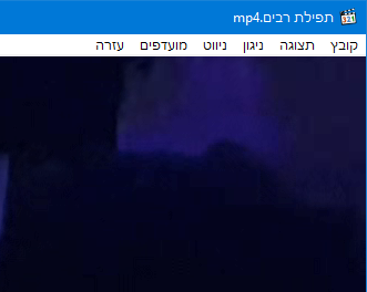 ‏‏לכידה.PNG