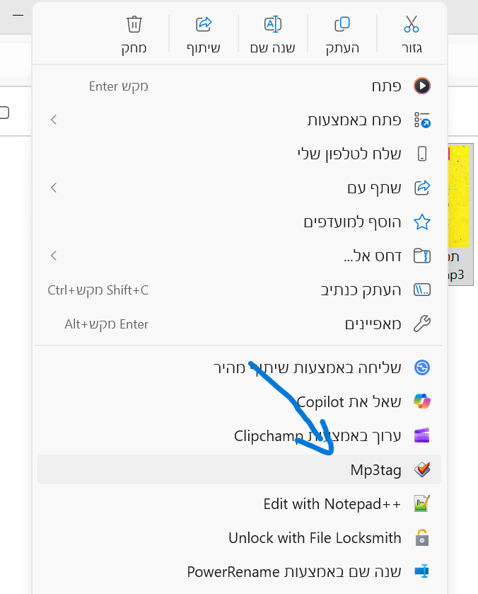 צילום מסך 2026-06-10 145204.png