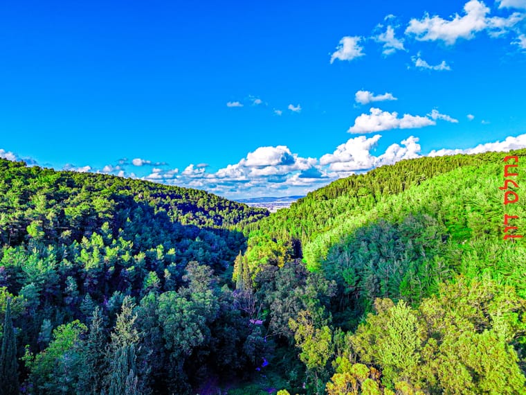 dji_fly_20260412_174058_0353_1776009397372_photo.jpg