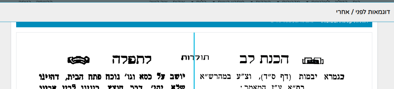 דוגמא.png