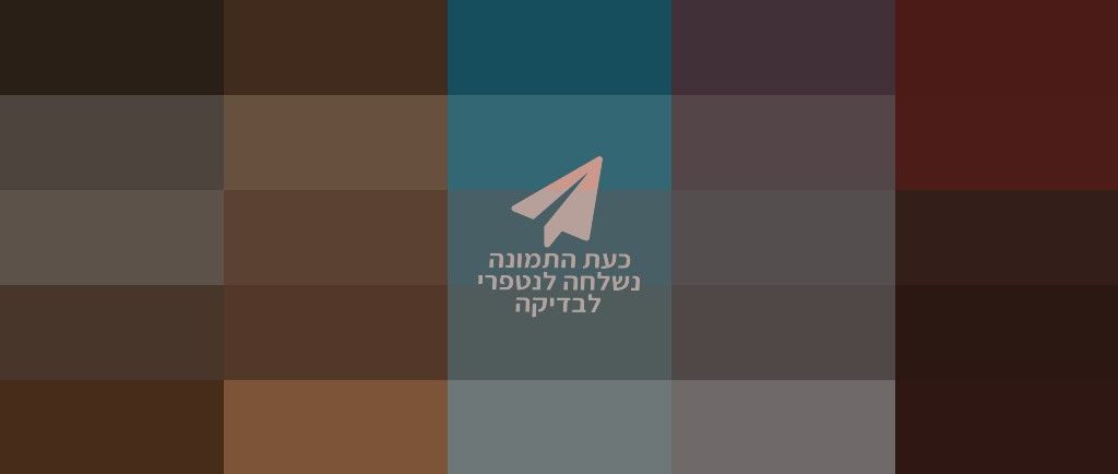 2130d244-d40c-4db8-b768-e1e27d82d454-image.jpeg