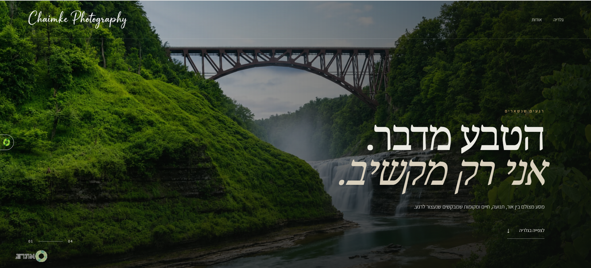 צילום מסך 2026-07-20 011439.png