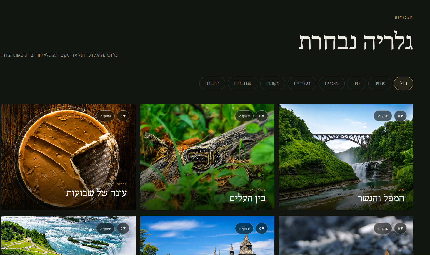צילום מסך 2026-07-20 011503.png