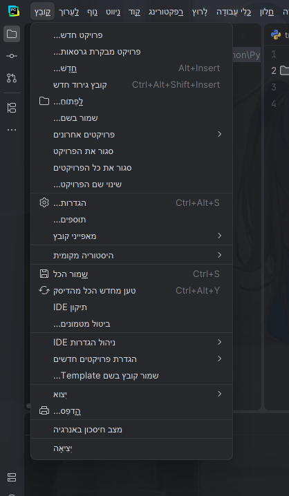 צילום מסך 2026-07-29 060348.png