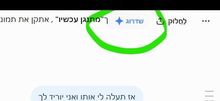 ce3aaed7-5a26-4f65-bdd8-5ce17f406dc6-image.jpeg