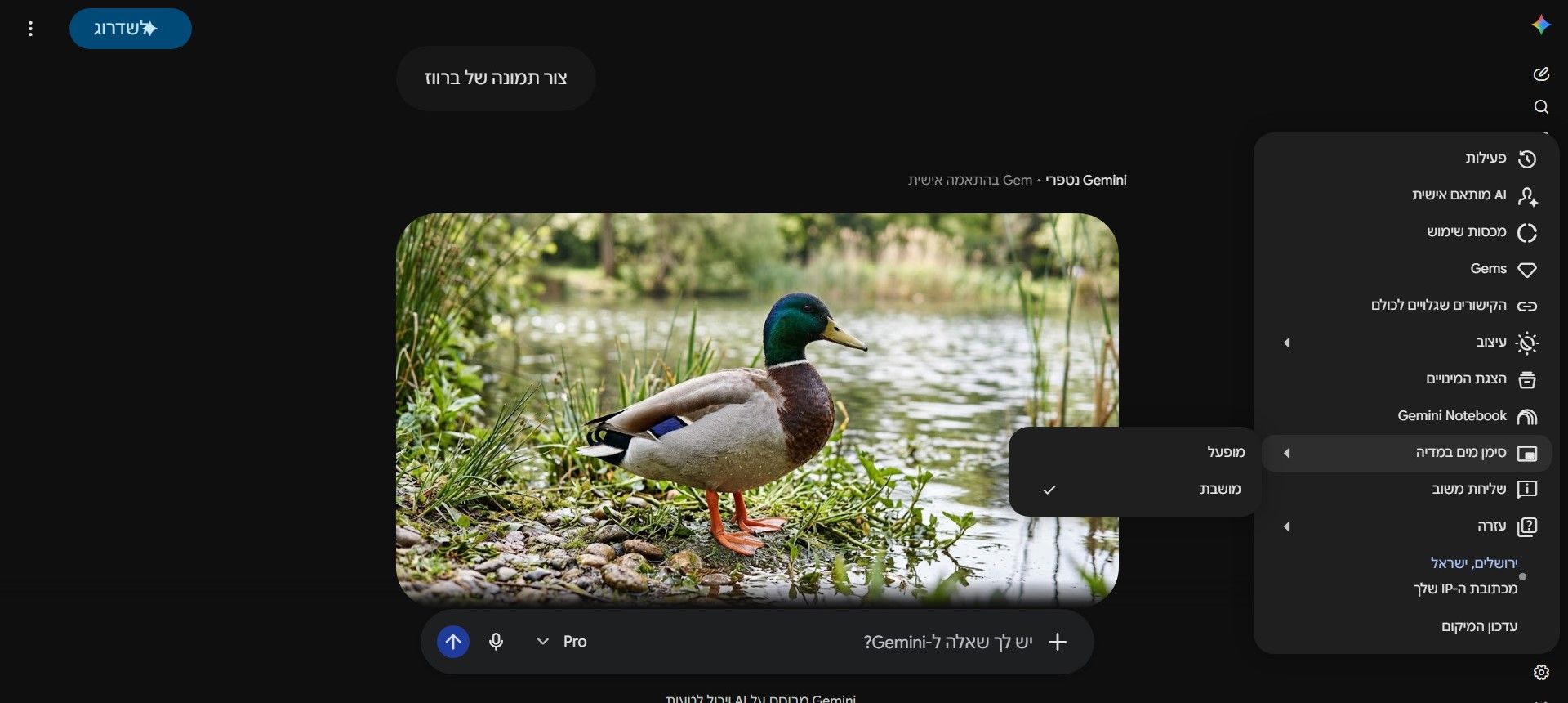 מדריך גמיני.jpg