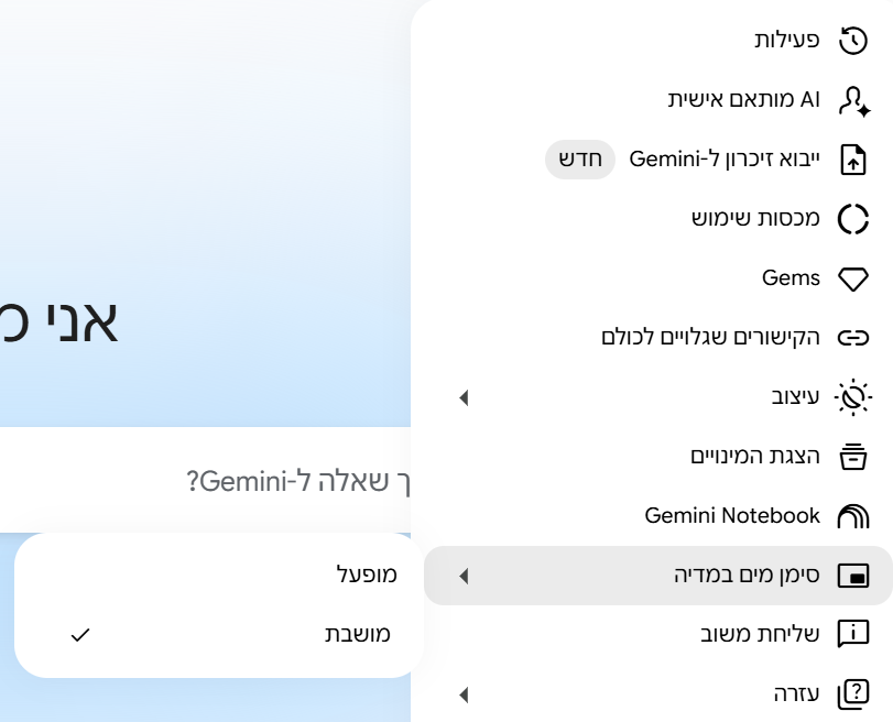 צילום מסך 2026-08-17 141952.png