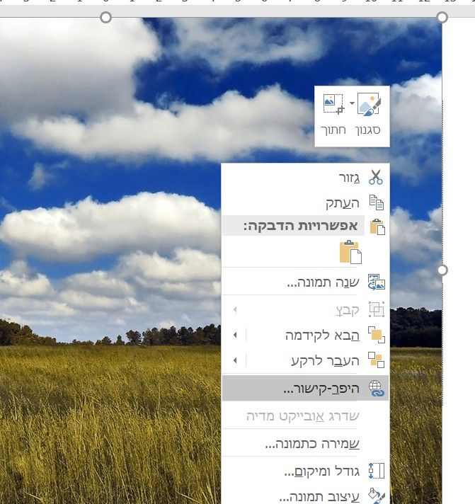 87e65109-afbe-4bd0-b1e2-d7c2515dea54-image.jpeg
