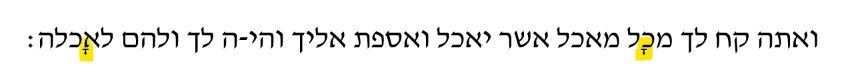 e4d7fef5-31af-4c6a-982f-092b4cc9fe61-image.jpeg