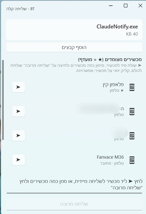 מטושטש 1.png