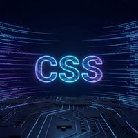 CSS 0